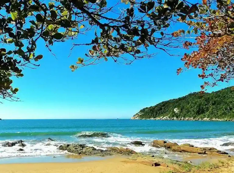 melhores praias de Bombinhas para surf