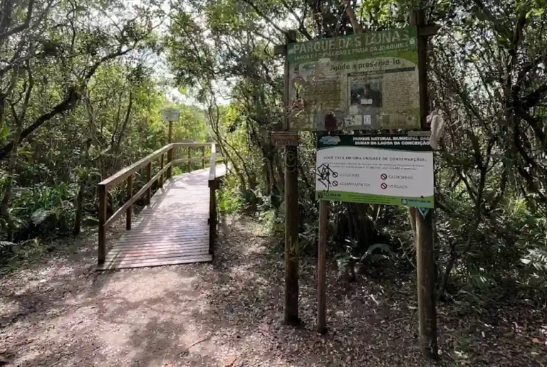 Trilha Parque das Dunas em Florianópolis