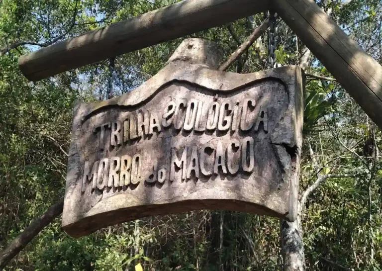 Trilha do Morro do Macaco