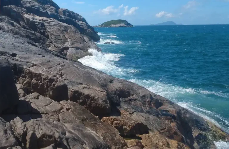 ace da Rocha em Florianópolis