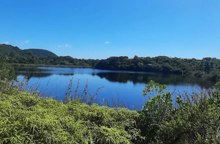 Pequeno lago Yacare em Florianópolis SC
