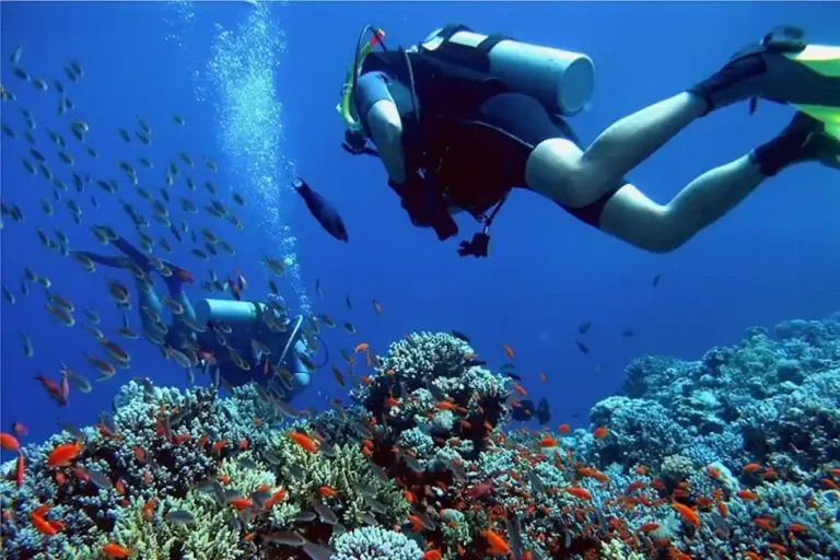 Plataforma de Mergulho Bombinhas