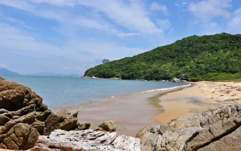 Praia da Lagoa em Bombinhas: Descubra o Segredo Mais Preservado de Zimbros