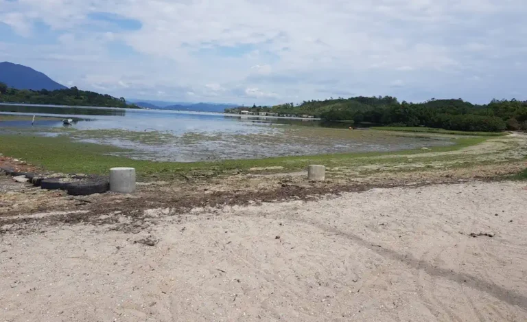 # Praia das Flecheiras em Florianópolis: