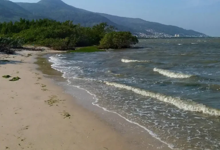 Praia do Saco dos Limões em Florianópolis