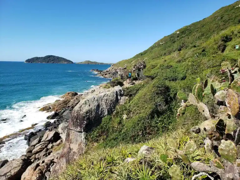 Trilha do Morro das Aranhas
