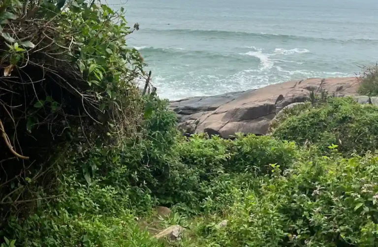 Praia do Saco da Baleia em Florianópolis