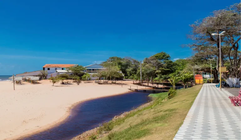 Melhor Época Para ir na Ilha de Marajó