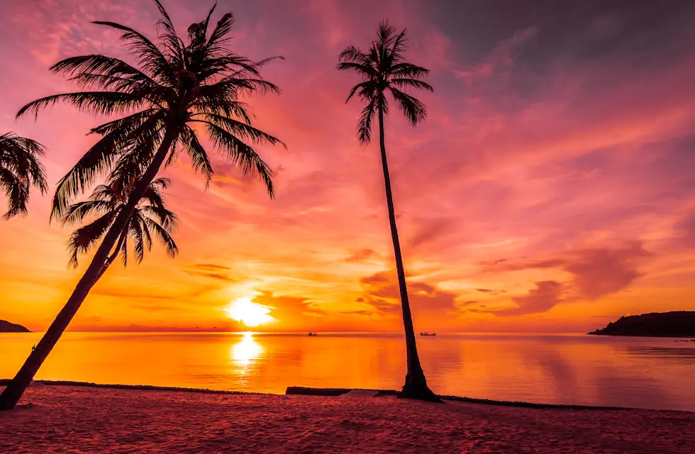 Onde ver o pôr do sol em Ubatuba SP: os melhores lugares para se apaixonar pela cidade 1 Onde ver o pôr do sol em Ubatuba SP
