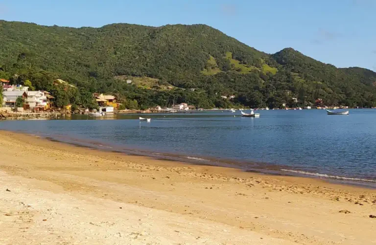 Tudo sobre a Praia do seu Norberto em floripa