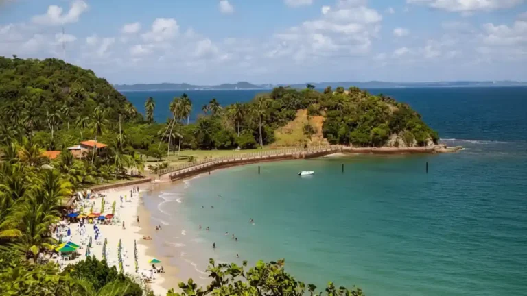 Ilha dos Frades em Salvador BA com mar azul e mata ao redor